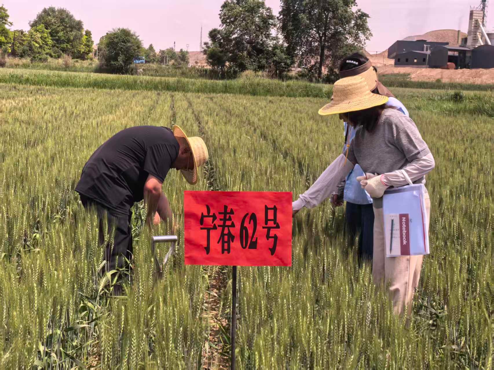 图片14.jpg