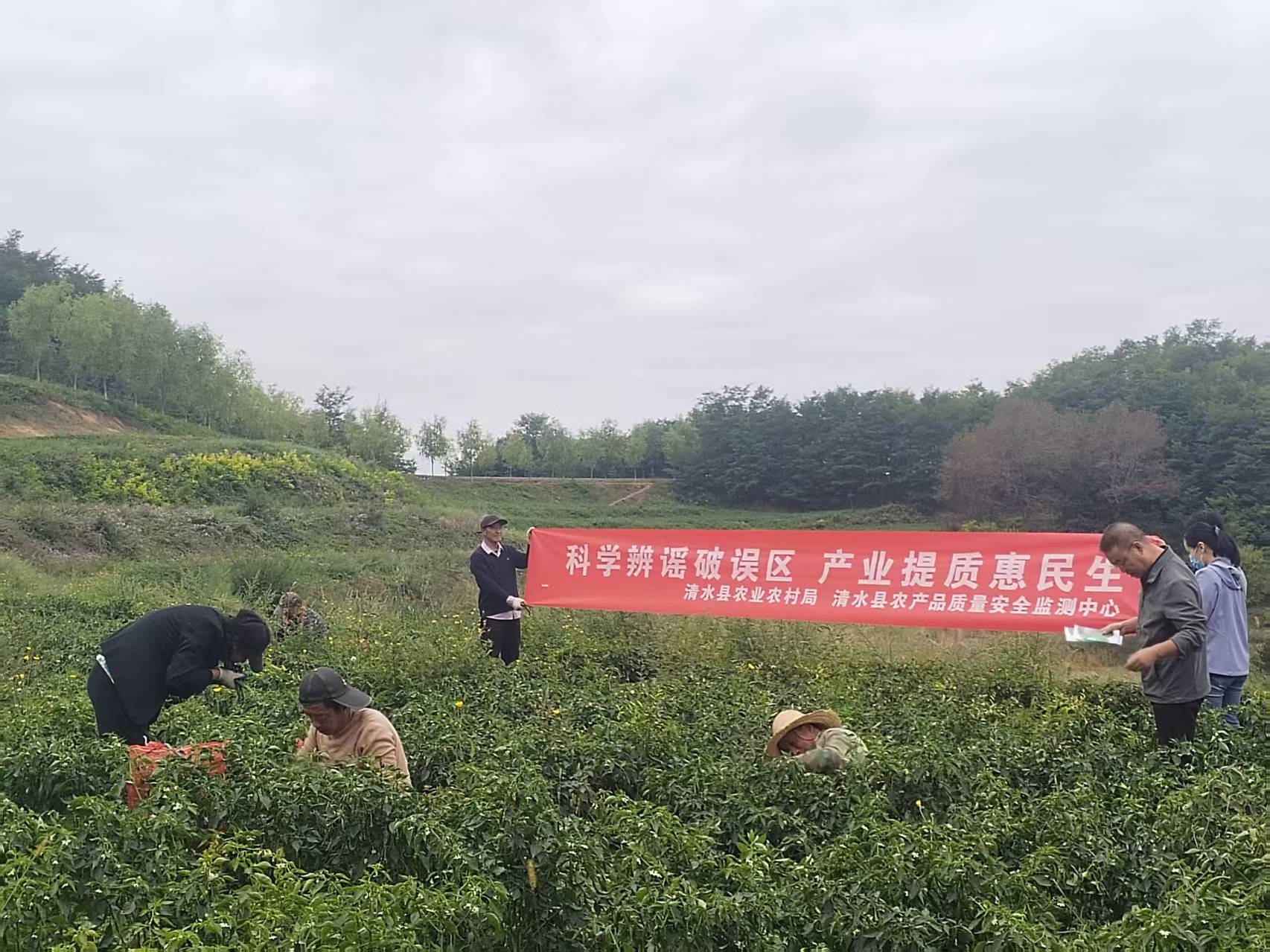 图片2.jpg