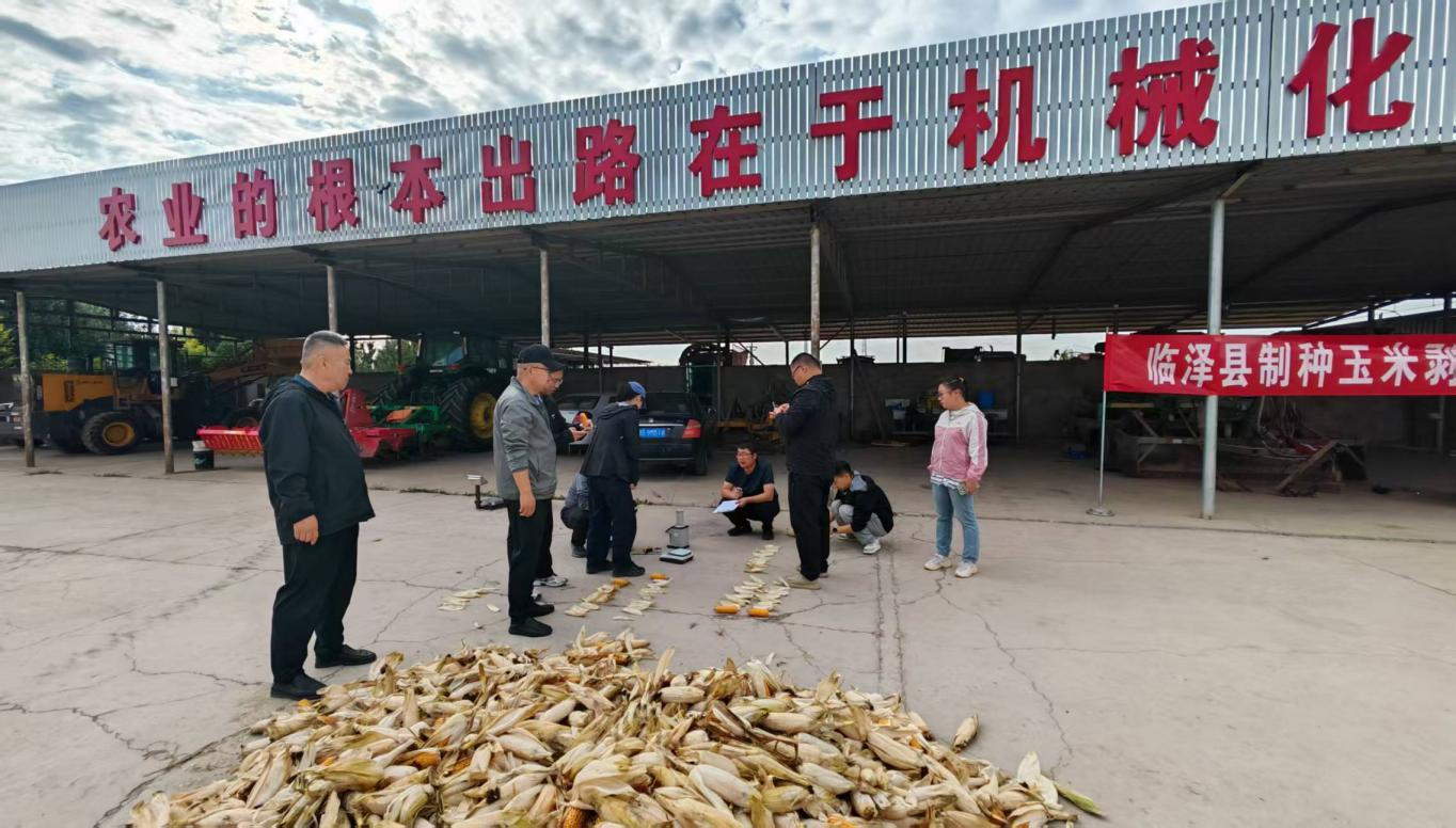 图片9.png