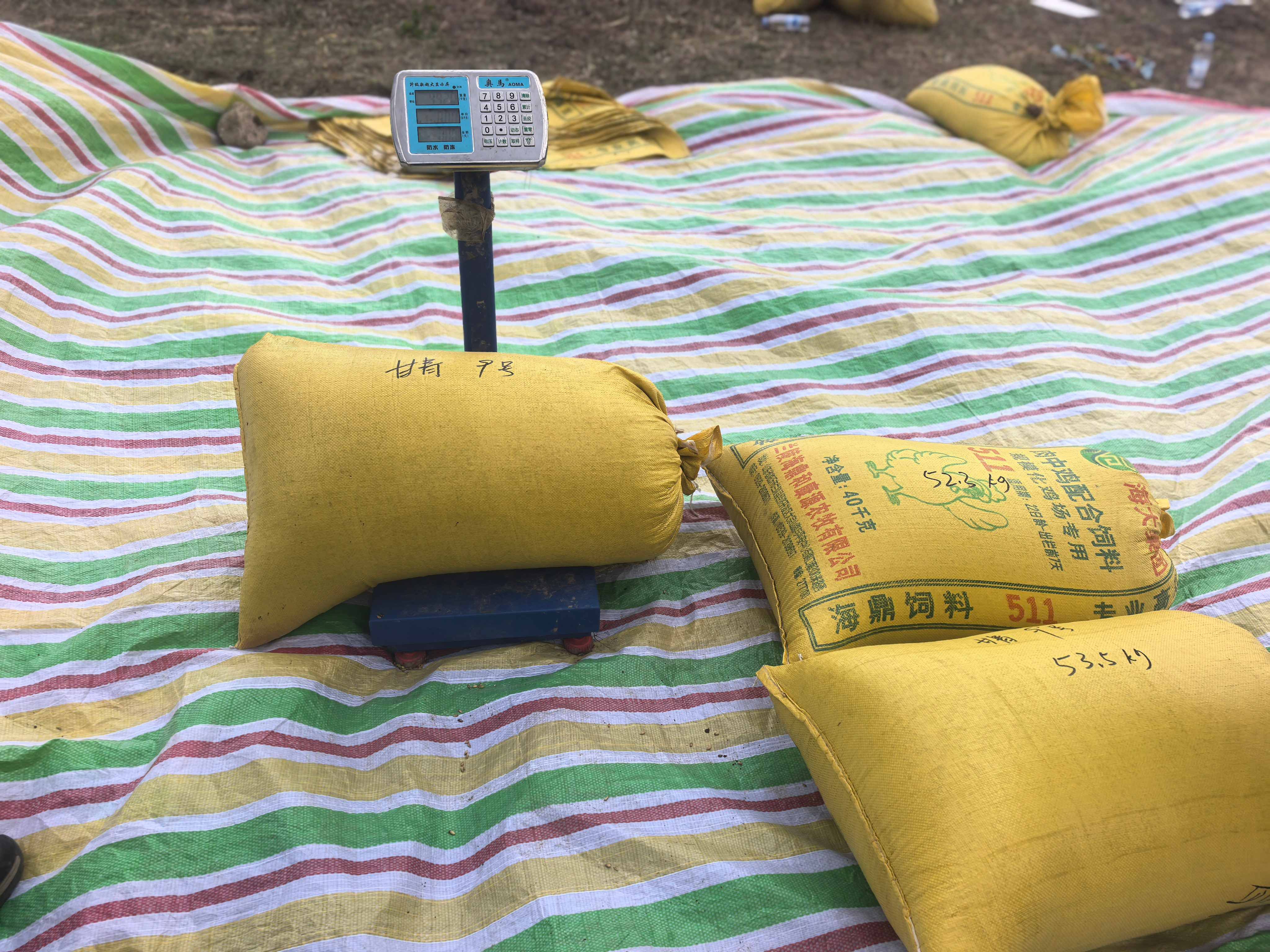 微信图片_20260930154217_101_90.jpg
