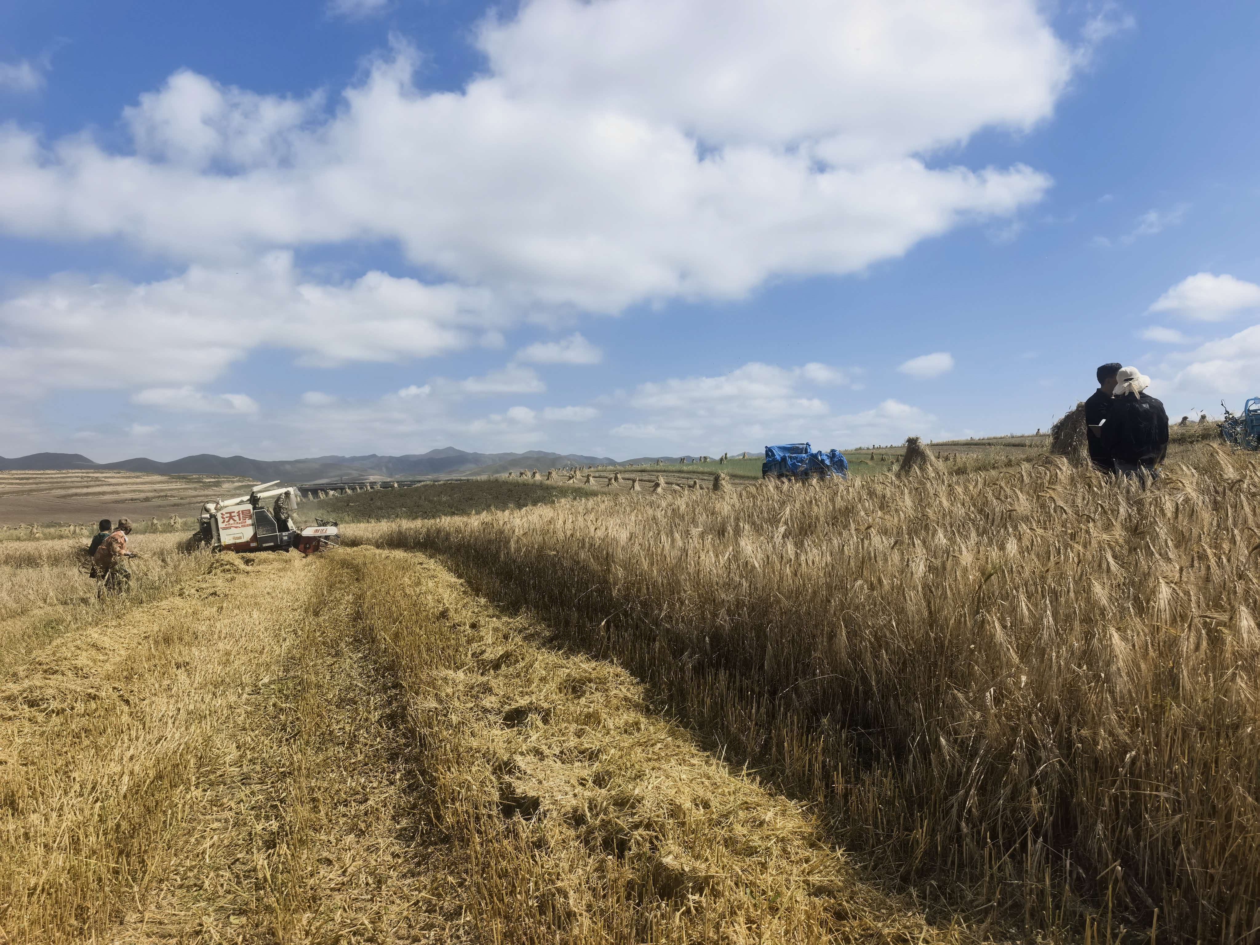 微信图片_20261001113843_20_13.jpg