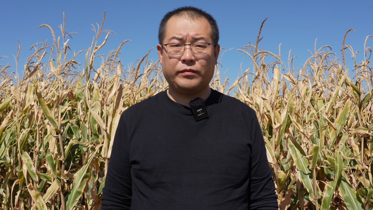 C6951T01.JPG
