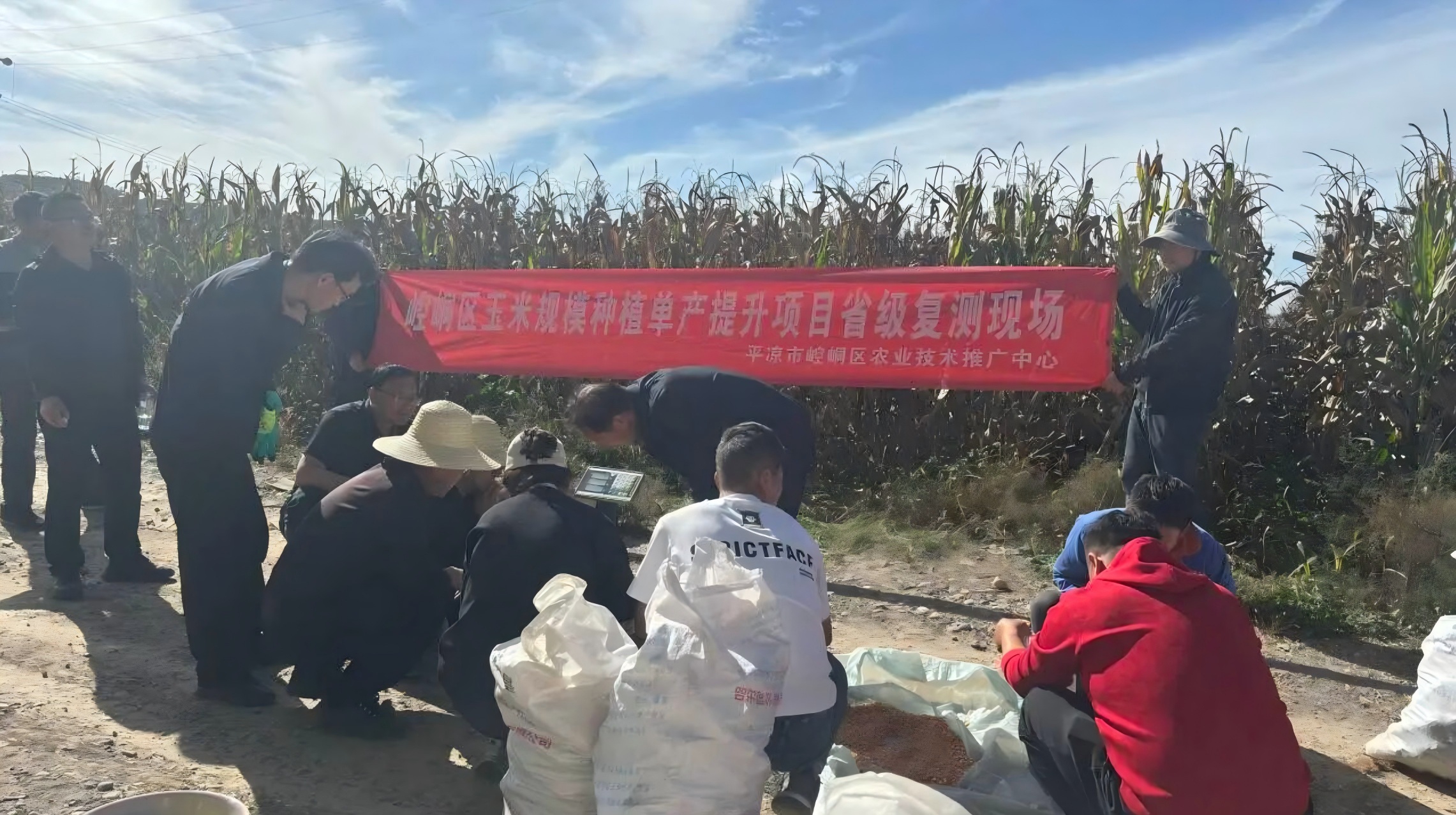 微信图片_20261012174814_1110_3.jpg