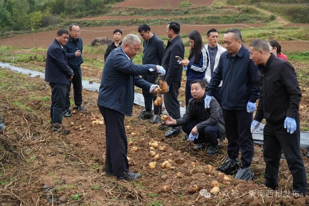 微信图片_2026-10-12_175401_032.jpg