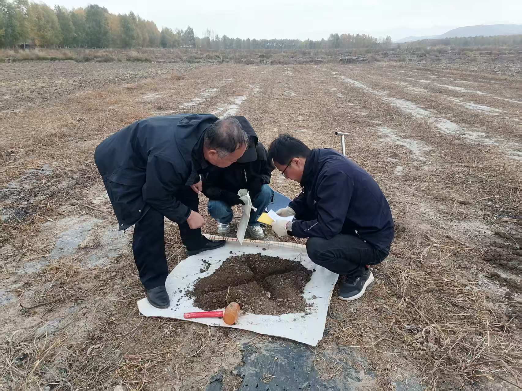 微信图片_20261015110123_7_256.jpg