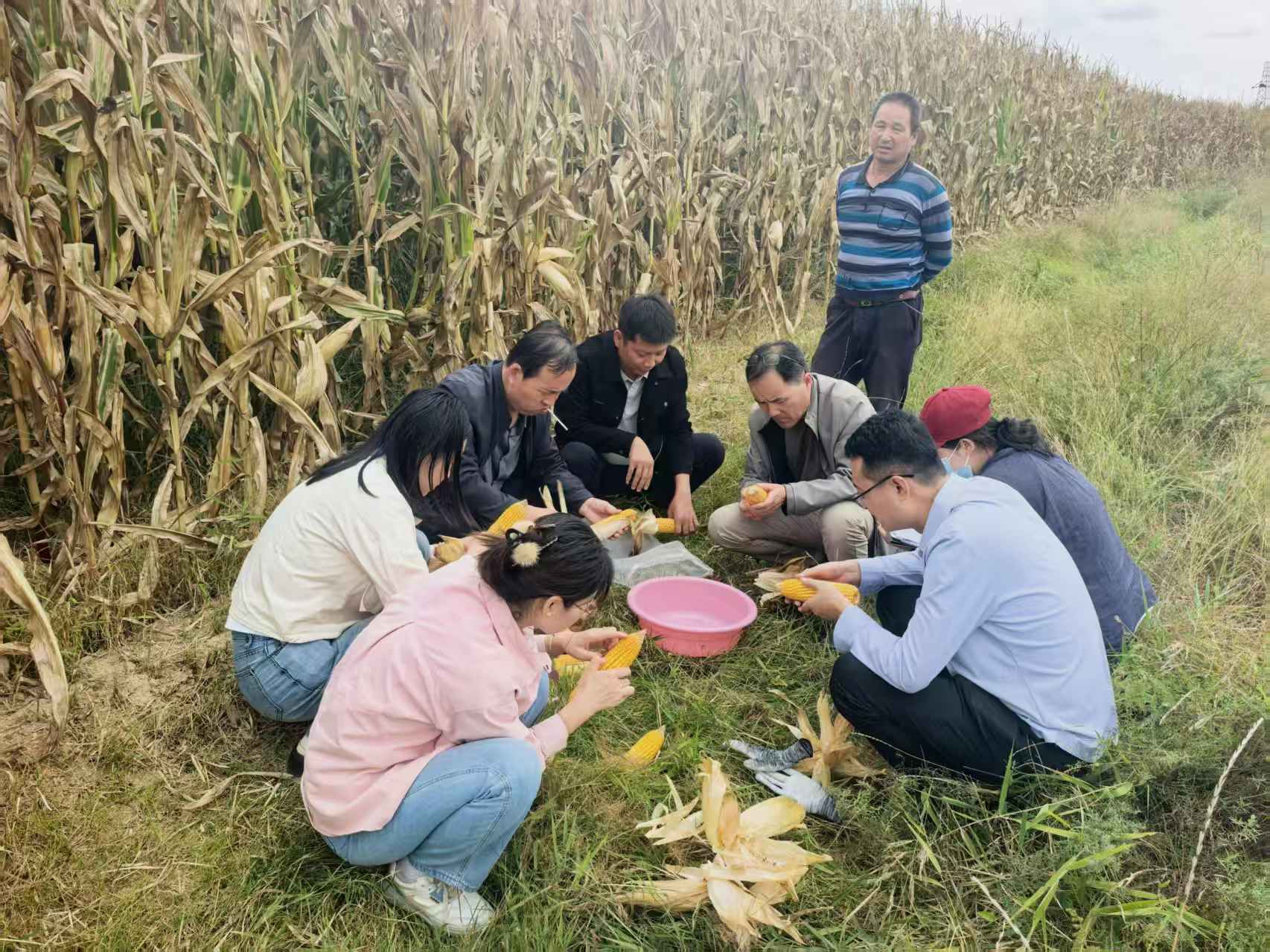 微信图片_20261015173521_203_65.jpg