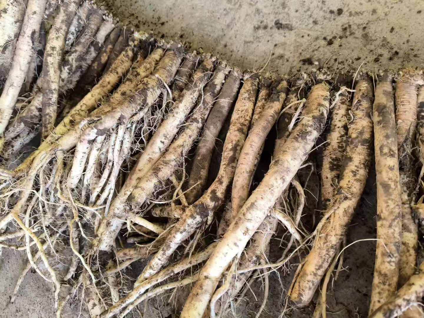 微信图片_20261020090341_51_195.jpg