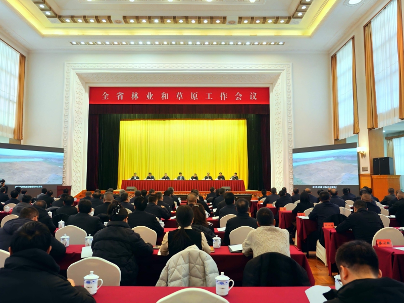 甘肃“十四五”林草事业交出亮眼答卷：生态屏障更坚固