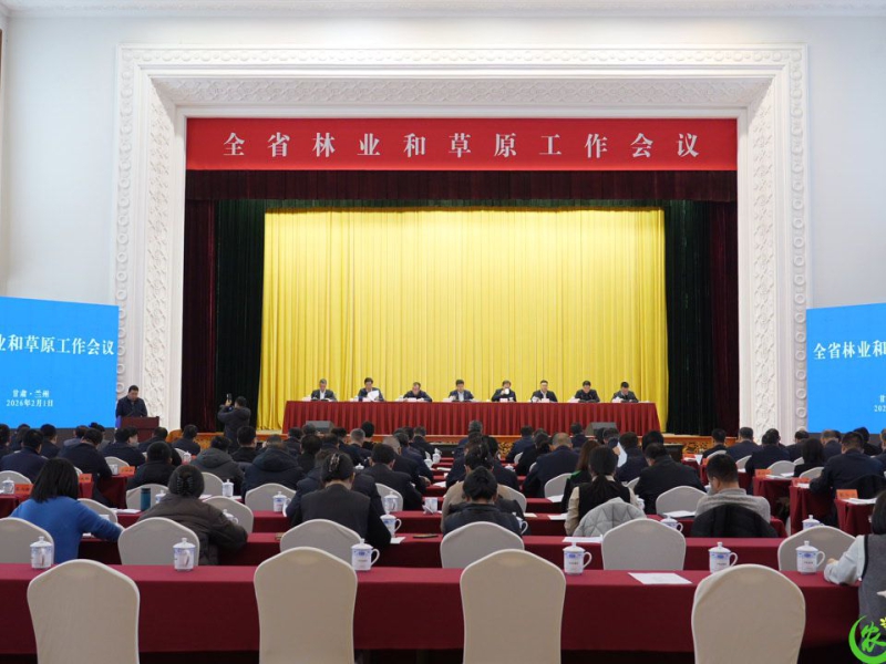 甘肃林草力争2026年完成国土绿化1265万亩