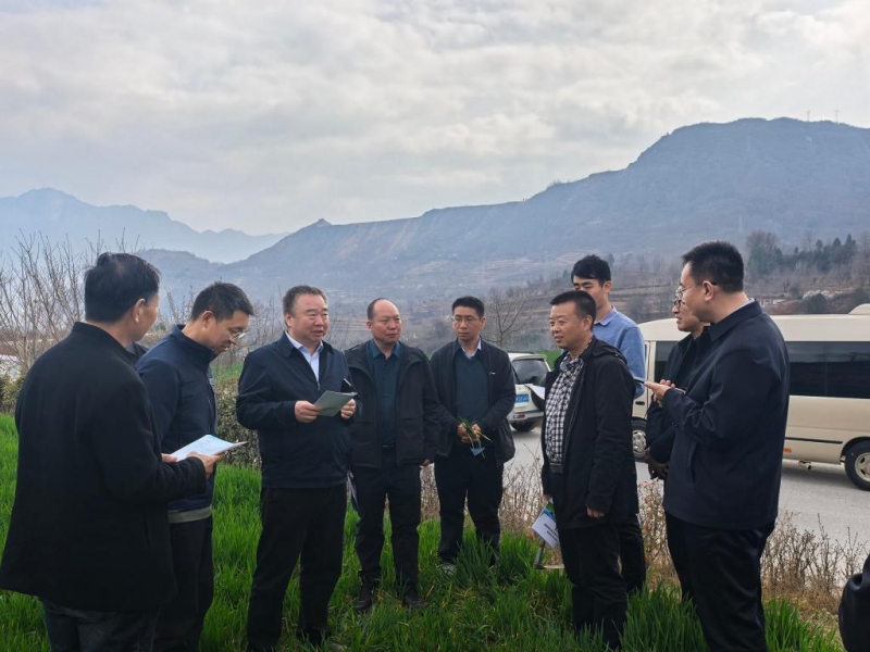 甘肃省农业科学院小麦研究所专家团队赴陇南天水等地开