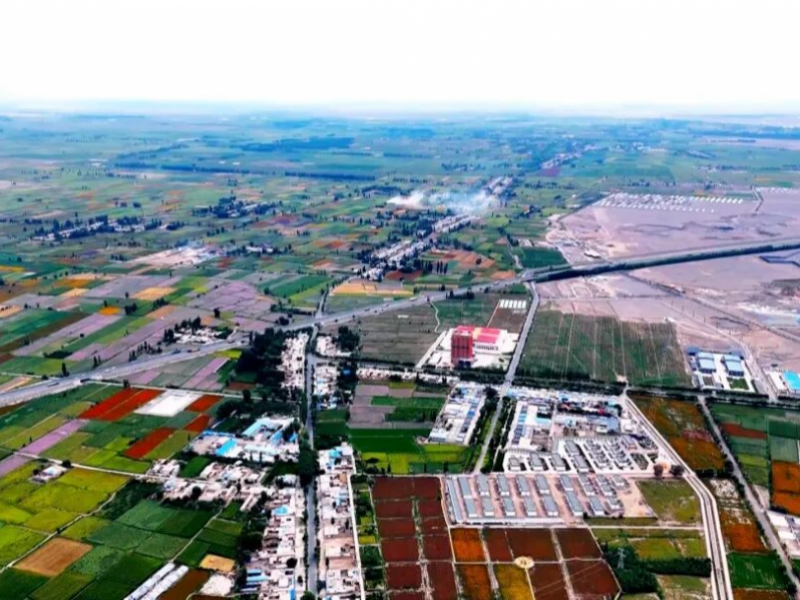 玉门农业再添国家级名片蔬菜、糖料良种繁育基地双双跻