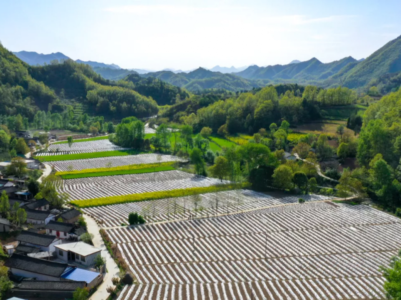 甘肃省“五链融合”地膜科学回收利用路径入选全国典型