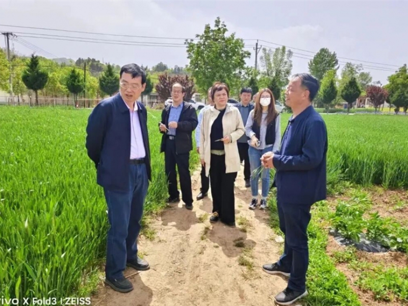 农业农村部工作组深入陇南指导冬小麦病虫害防治暨“一