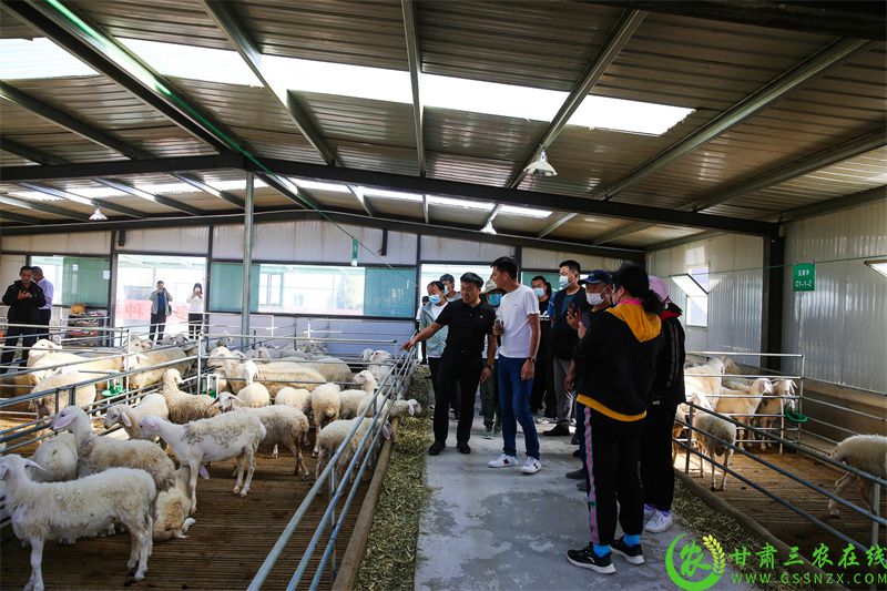 牛羊养殖培训班学员外出观摩学习  12.jpg