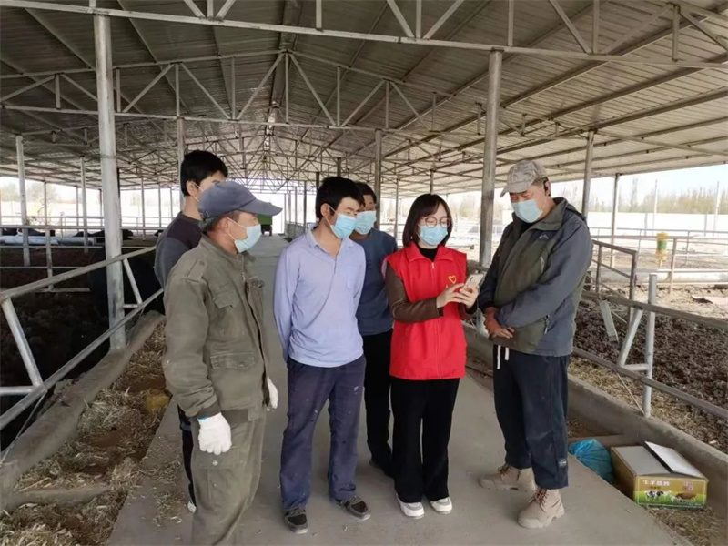 瓜州县瓜州镇乾顺牧业专业合作社的养殖户们认真学习党的二十大精神.jpg