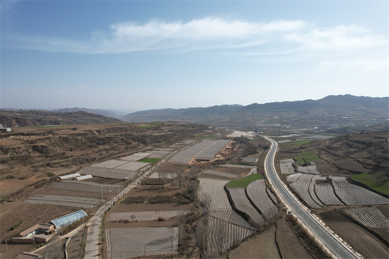 航拍：渭河源村春覆膜胜景。.JPG