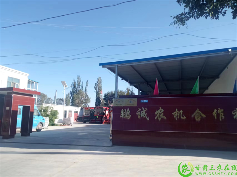 图片1.png