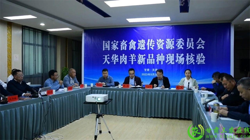 图片7.png