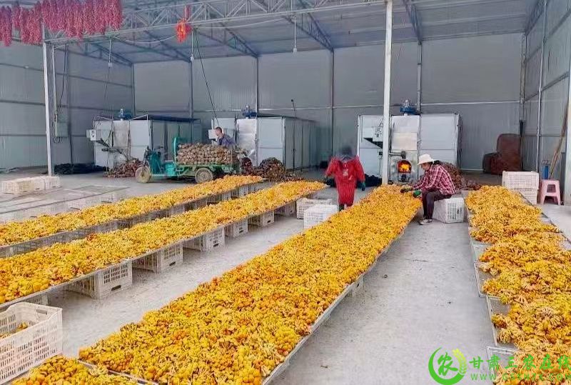微信图片_20231109110315777.jpg