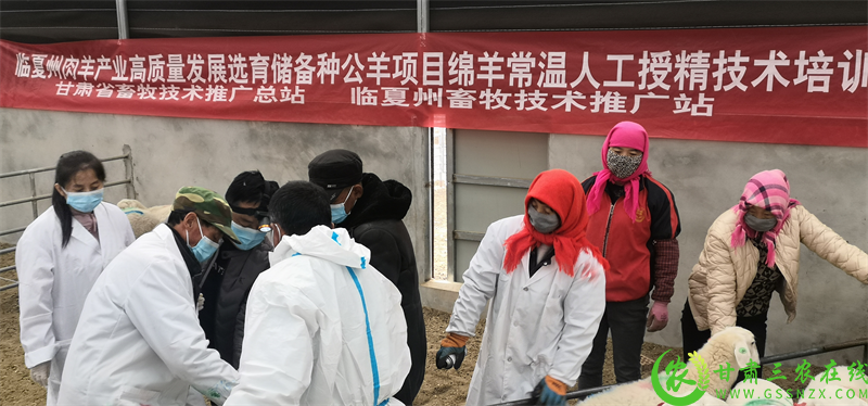 图片1.png561715.png