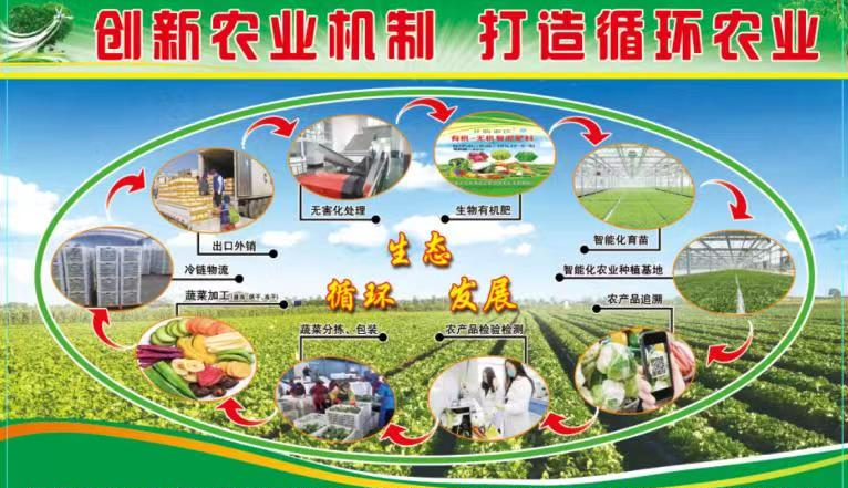 图片1.png331.png