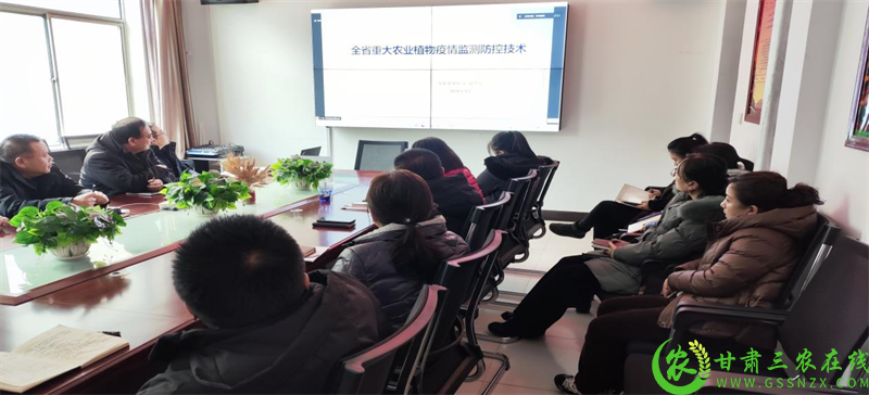 图片1.png413.png