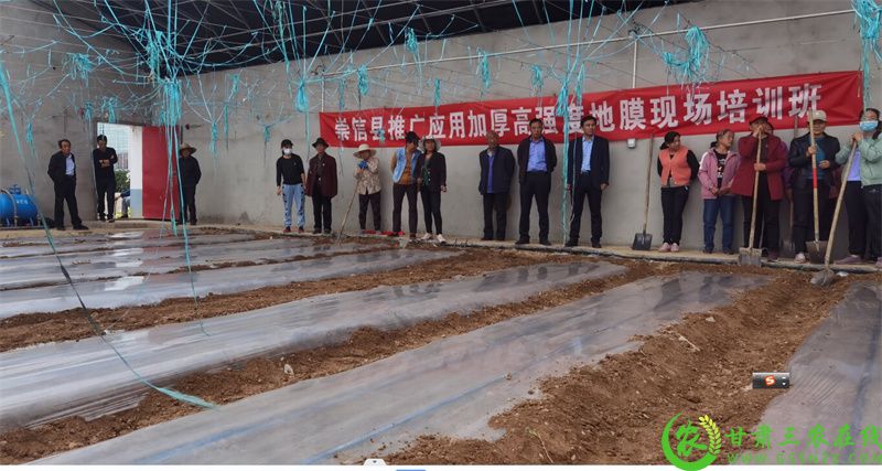 2.崇信县锦屏镇在设施蔬菜种植上推广应用加厚高强度地膜.jpg