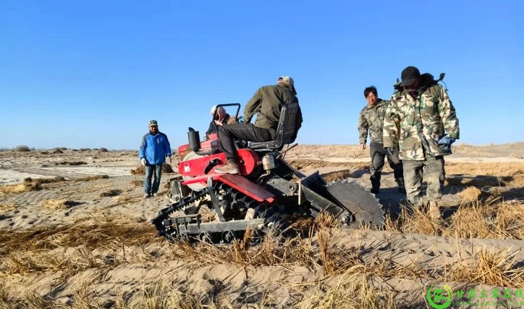 瓜州县疏勒河中下游防沙治沙林草综合治理项目现场2.jpg