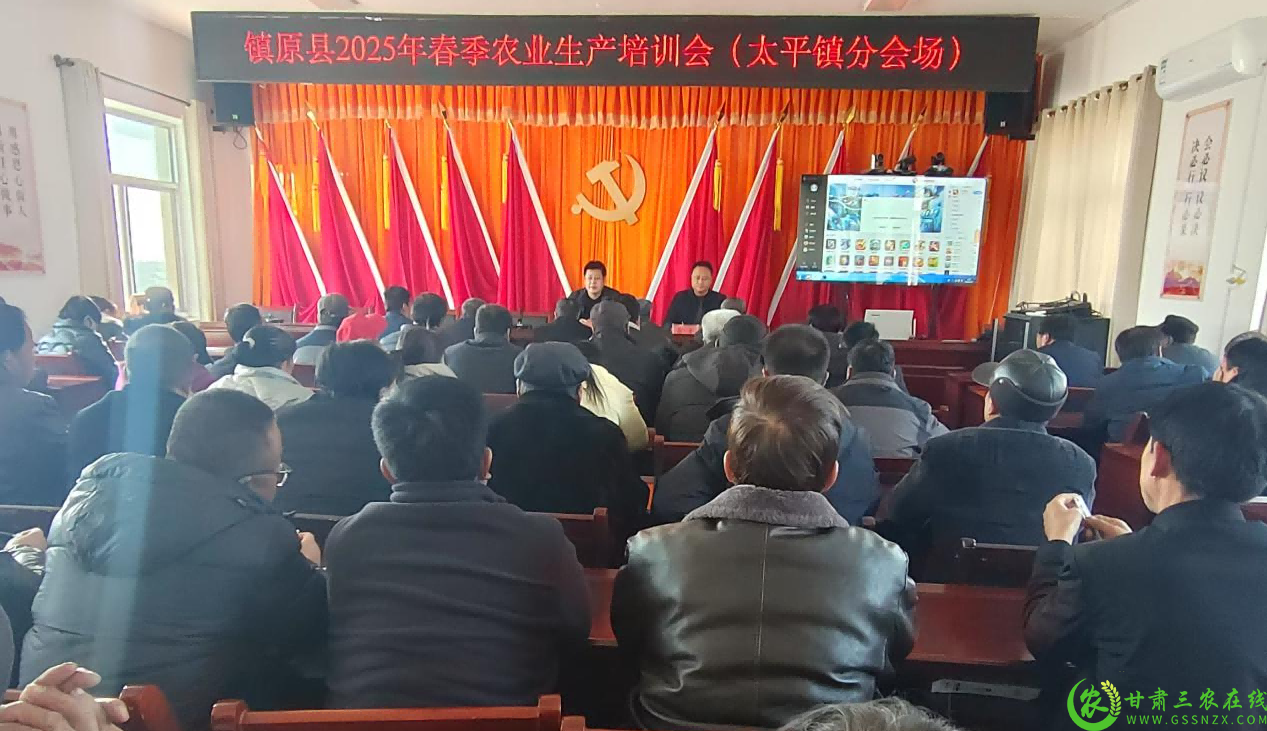 图片1(1).png