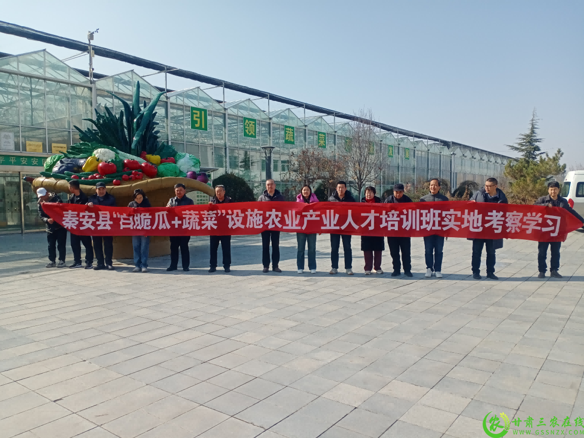 图片2(1).png