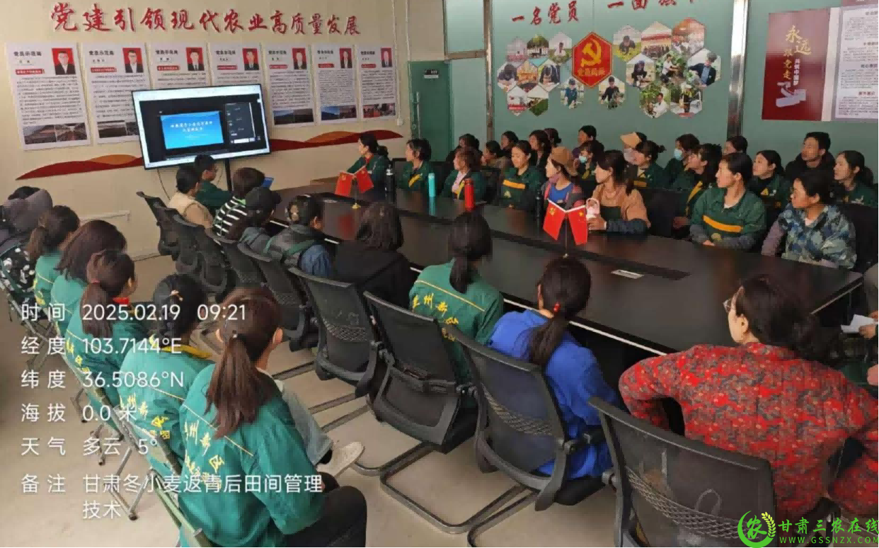 图片1(1).png