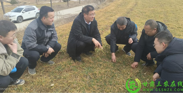 图片12(1).png