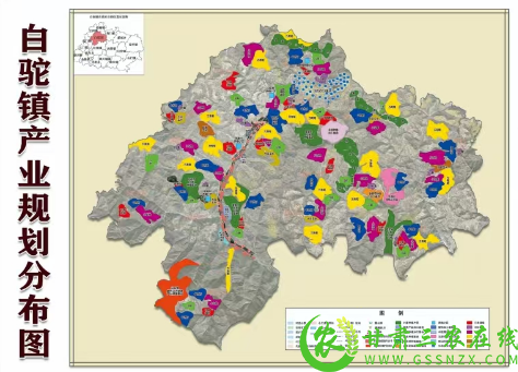 图片10.png