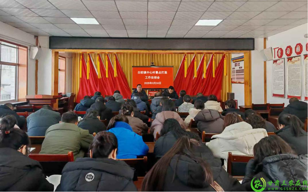图片1(1).png