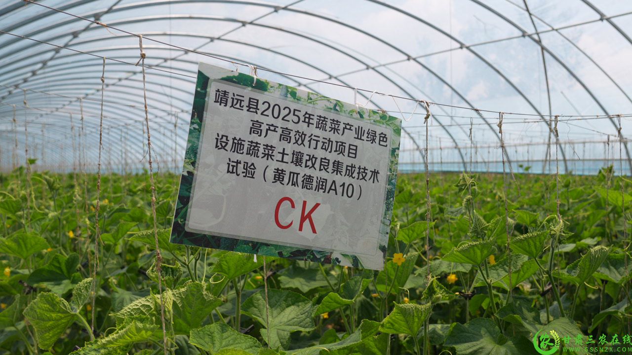 C9939T01.JPG