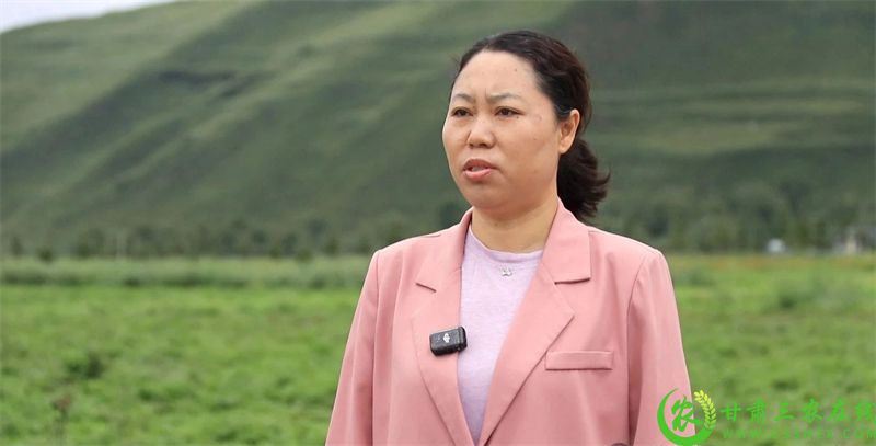 微信图片_2025-08-11_224653_341.jpg