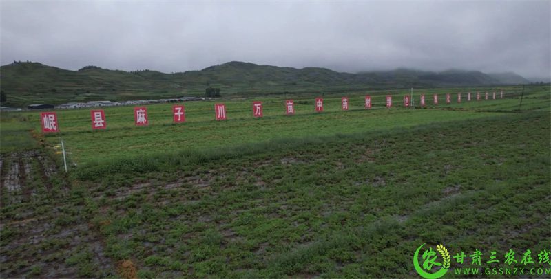 微信图片_2025-08-11_224656_665.jpg
