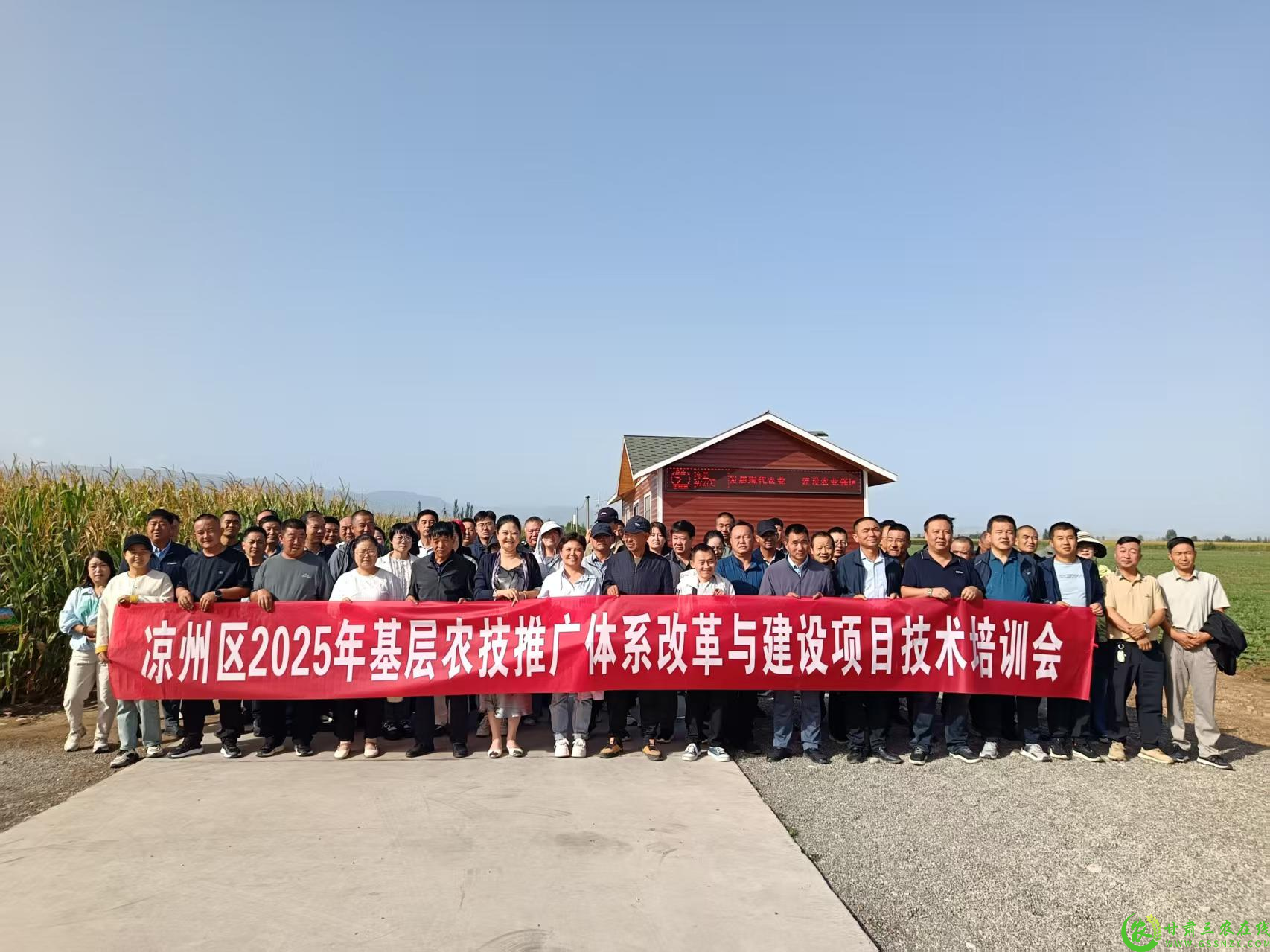 图片12.png