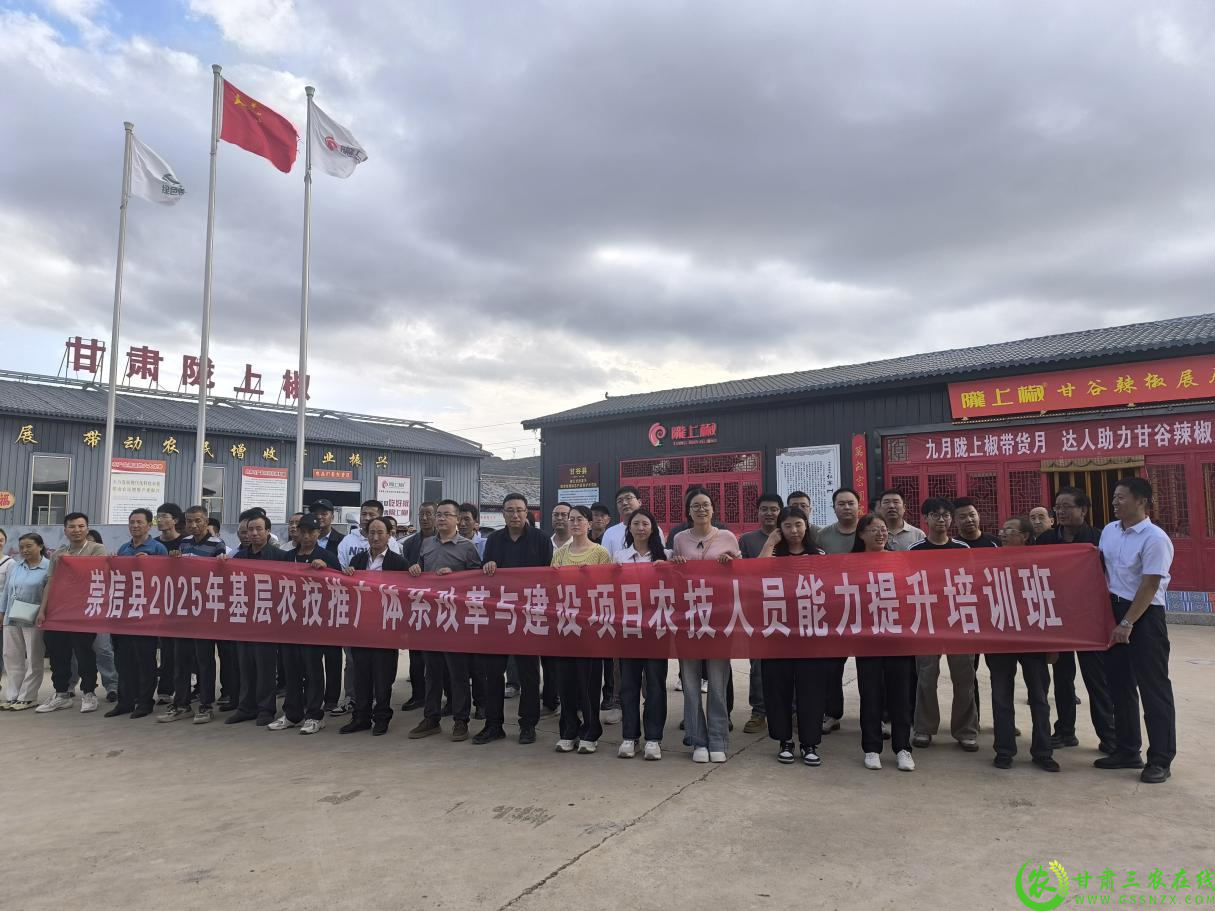 图片1(2).png