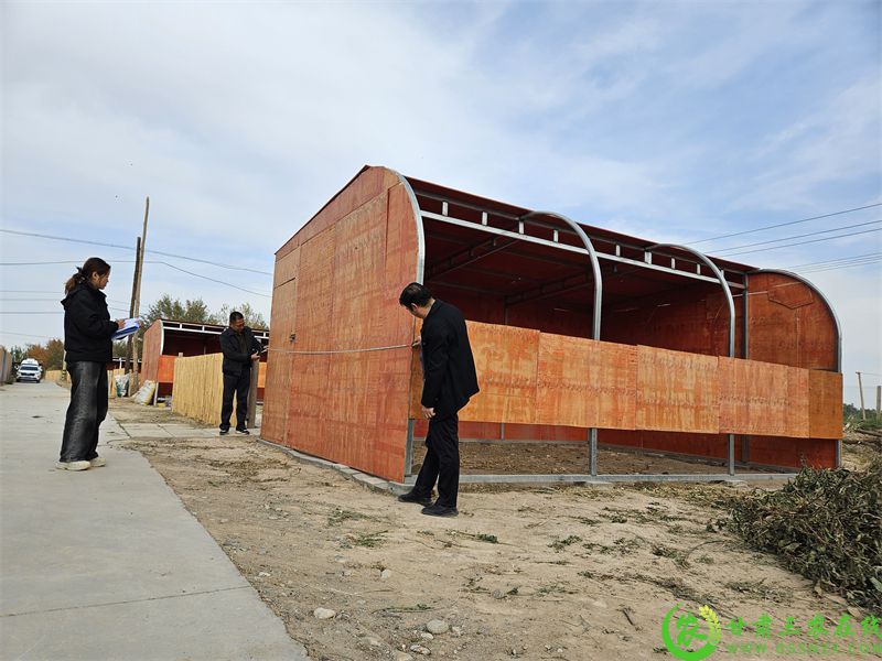 标准化圈舍筑牢养殖业发展根基 精准化服务激活乡村振兴新动能.jpg