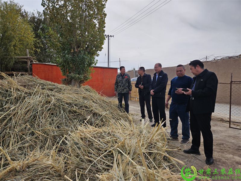 标准化圈舍筑牢养殖业发展根基 精准化服务激活乡村振兴新动能2.jpg