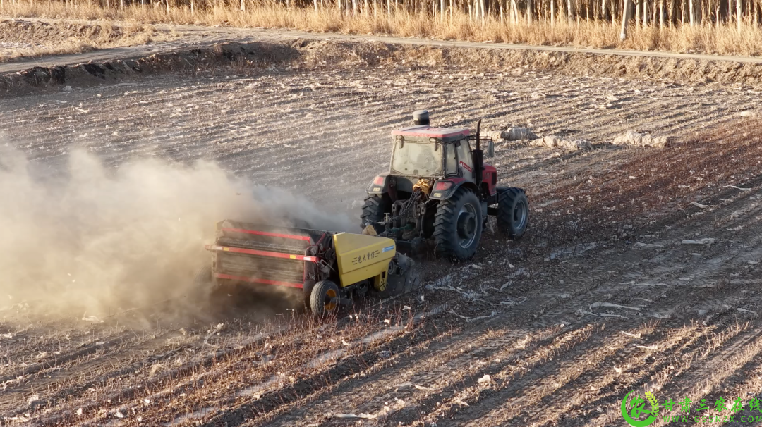 伴随着阵阵机器轰鸣声，一行行棉秆被残膜回收一体机快速收割，经过粉碎后撒入田间.png