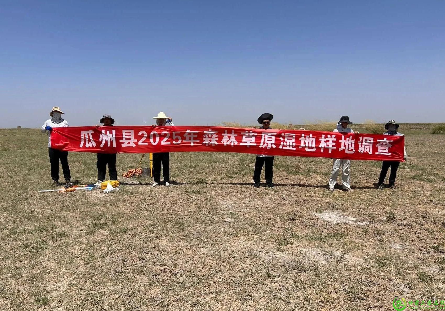 图片1  瓜州县2025年森林草原湿地样地调查.jpg