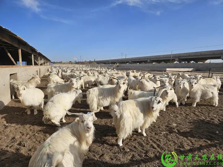 成效凸显 (1).jpg