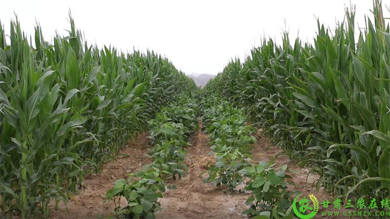 平川区培训班 (8).jpg