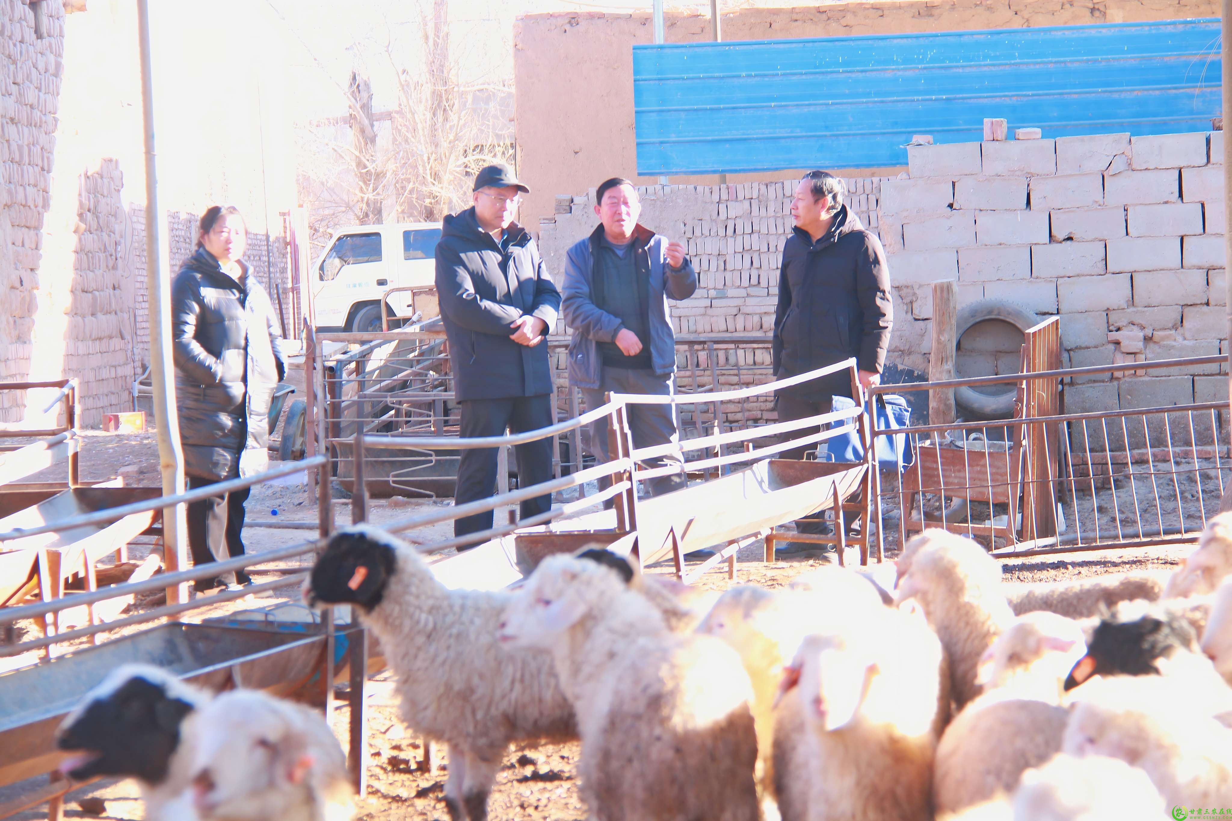 张宝玉在他的养殖场(1).jpg