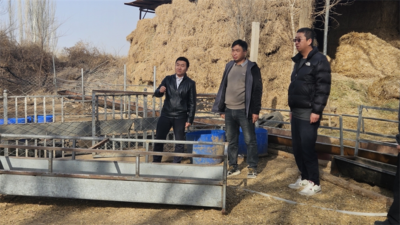 图为2026年3月市镇技术人员在丁延云家庭农场开展技术指导 (3).jpg
