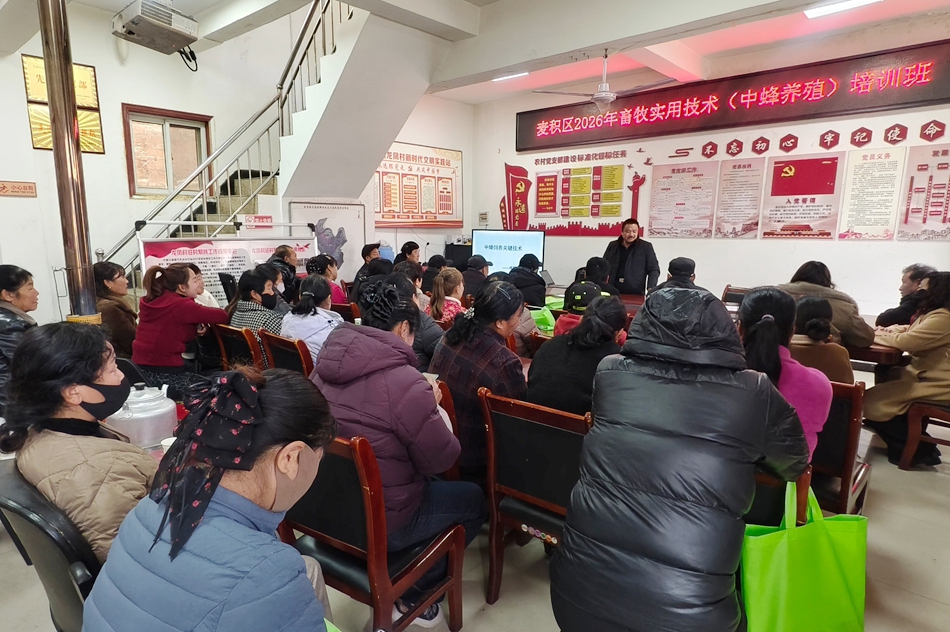 龙凤村.jpg