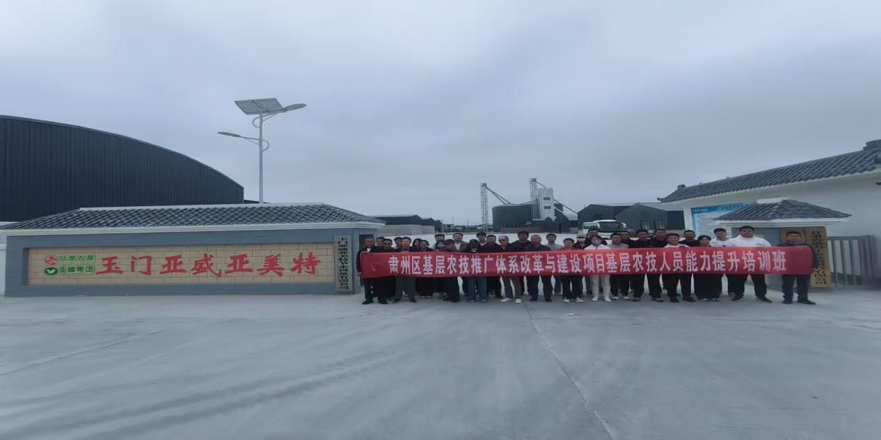 图片9.png