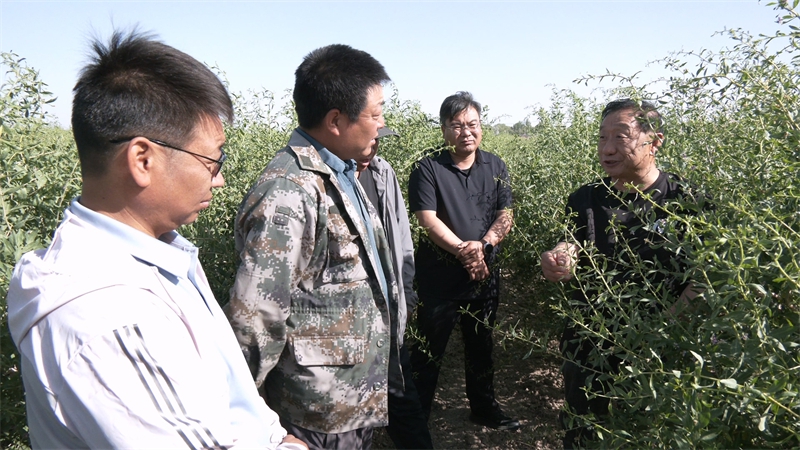 科技特派员手把手教.jpg
